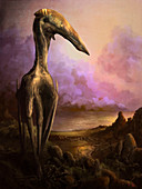 Hatzegopteryx pterosaur, illustration