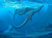 Mosasaurus marine reptiles, illustration