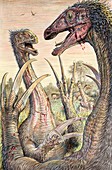 Therizinosaurus dinosaurs, illustration