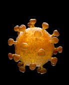 Covid 19 coronavirus illustration.