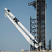 SpaceX Demo-2 spacecraft placed on launchpad