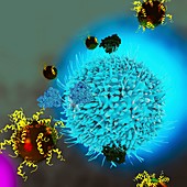 Gold nanoparticles and T cell, illustration