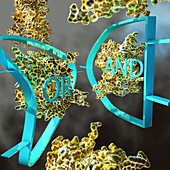 Molecular logic gate, conceptual illustration