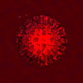 Coronavirus, illustration