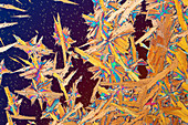 Mixture of crystals, polarised light micrograph