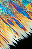 Ferrous and ammonium sulphate, polarised light micrograph