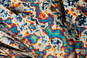 Magnesium acetate, polarised light micrograph