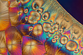Gelatine and niacinamide, polarised light micrograph