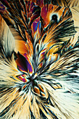 Magnesium sulphate, polarised light micrograph