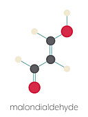 Malondialdehyde molecule, illustration