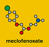 Meclofenoxate nootropic molecule, illustration