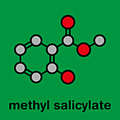 Methyl salicylate molecule, illustration