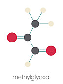 Methylglyoxal molecule, illustration
