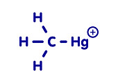 Methylmercury cation environmental pollutant, illustration