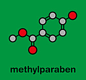 Methyl paraben preservative molecule, illustration