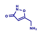 Muscimol molecule, illustration