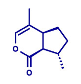 Nepetalactone catnip cat attractant molecule, illustration