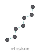 Heptane alkane molecule, illustration