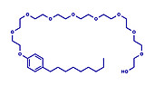 Nonoxynol-9 spermicide molecule, illustration