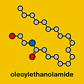Oleoylethanolamide molecule, illustration
