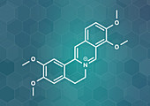 Palmatine herbal alkaloid molecule, illustration