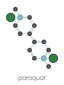 Paraquat herbicide molecule, illustration