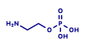 Phosphorylethanolamine molecule, illustration