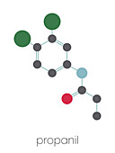 Propanil herbicide molecule, illustration