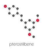 Pterostilbene molecule, illustration