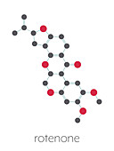 Rotenone broad-spectrum insecticide molecule, illustration