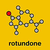 Rotundone peppery taste molecule, illustration