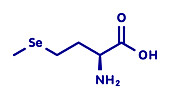 Selenomethionine amino acid molecule, illustration