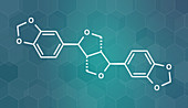 Sesamin molecule, illustration