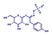Sinalbin glucosinolate molecule, illustration