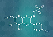 Sinalbin glucosinolate molecule, illustration