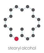 Stearyl alcohol molecule, illustration
