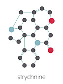 Strychnine poisonous alkaloid molecule, illustration