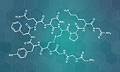 Terlipressin drug molecule, illustration