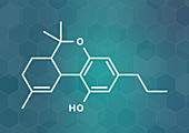 Tetrahydrocannabivarin cannabinoid molecule, illustration