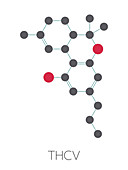 Tetrahydrocannabivarin cannabinoid molecule, illustration