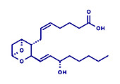 Thromboxane A2 molecule, illustration