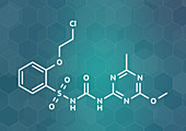 Triasulfuron herbicide molecule, illustration