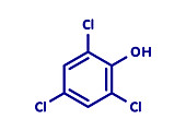 Trichlorophenol molecule, illustration