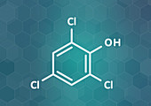 Trichlorophenol molecule, illustration