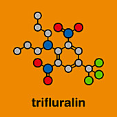 Trifluralin herbicide molecule, illustration