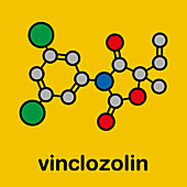 Vinclozolin fungicide molecule, illustration