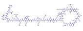 Vosoritide achondroplasia drug molecule, illustration