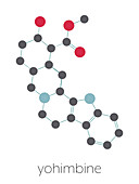 Yohimbine alkaloid molecule, illustration