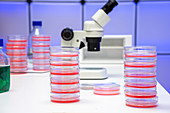 Microbiology research