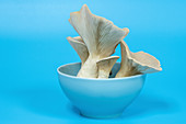 King oyster mushrooms